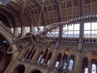 /home//u458753944/public_html/sourcegallery//other/uk 2023/london/IMG_20230920_105714922_HDR.jpg